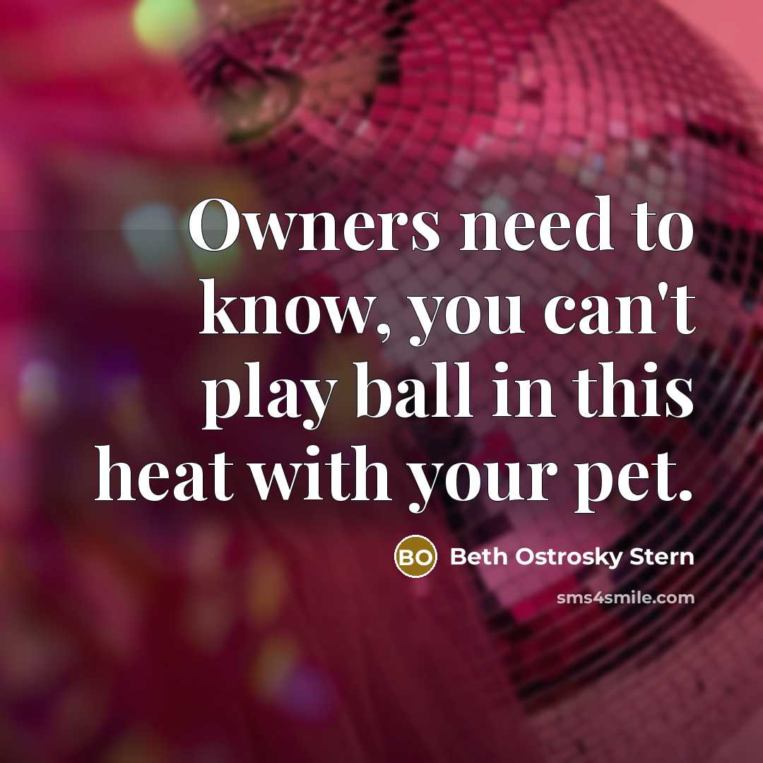 “Owners need to know, you can't play ball in this…” quote by Beth Ostrosky Stern