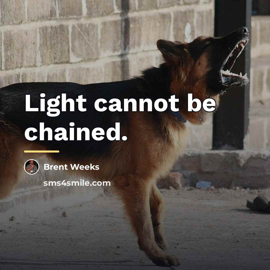 “Light cannot be chained.…” quote by Brent Weeks