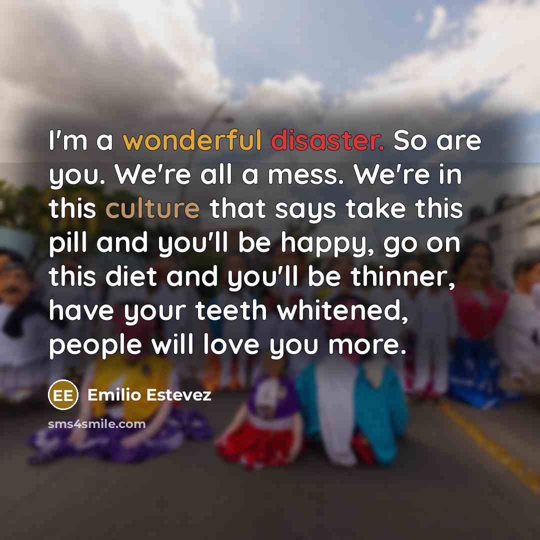“I'm a wonderful disaster. So are you. We're all a…” quote by Emilio Estevez