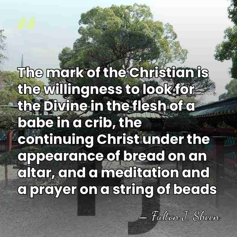 The mark of the Christian is the willingness to look for the&hellip; - Fulton J. Sheen