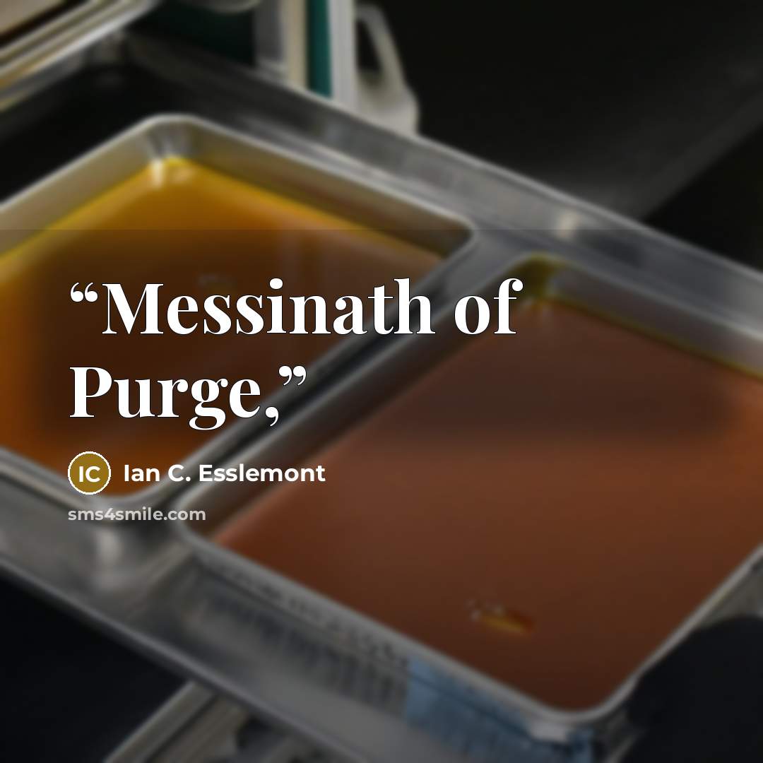“Messinath of Purge,” quote by Ian C. Esslemont
