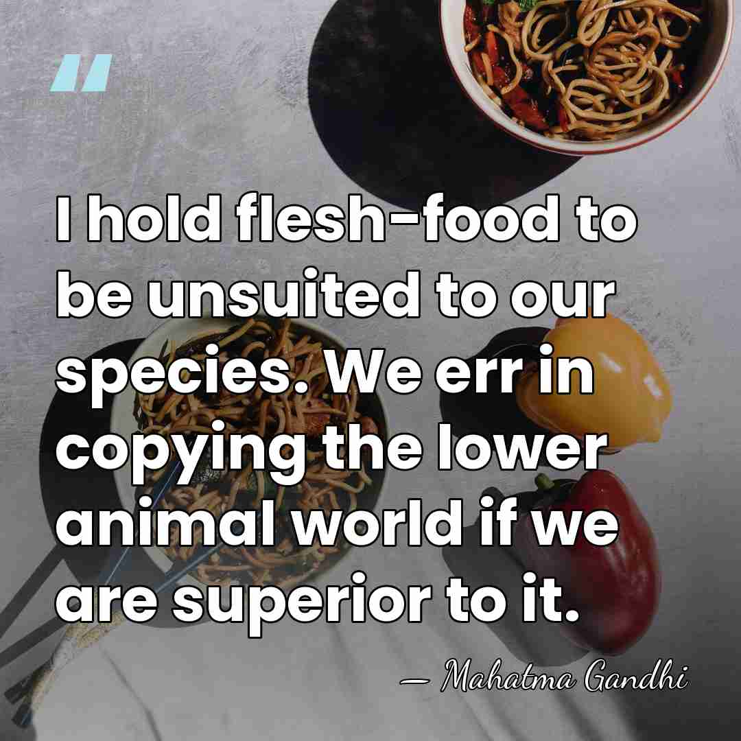 I hold flesh-food to be unsuited to our species. We err in&hellip; - Mahatma Gandhi