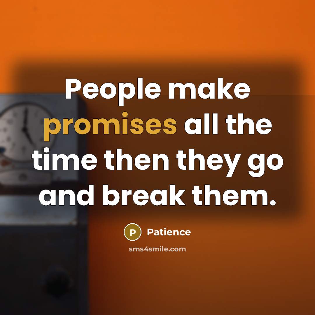 “People make promises all the time then they go and break them.” quote by Patience