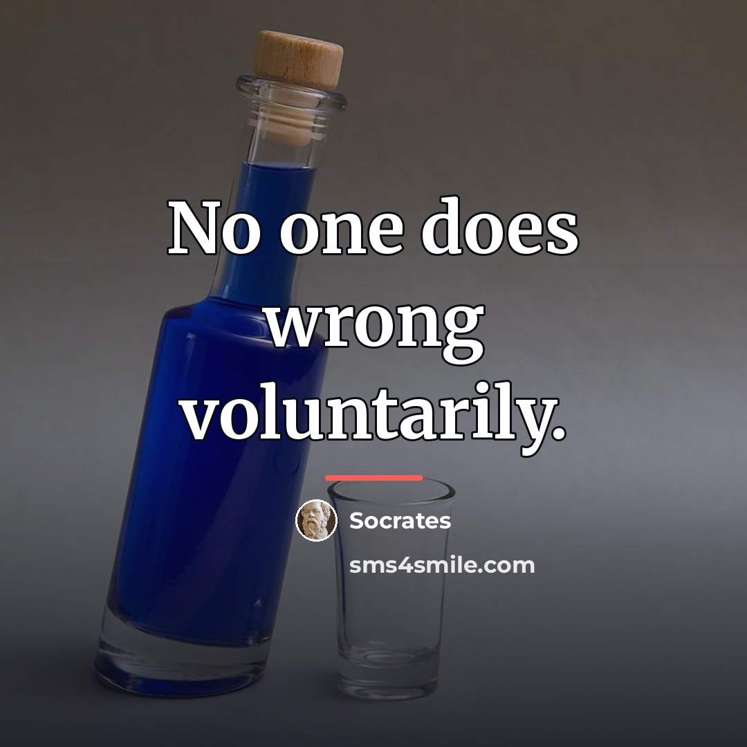 “No one does wrong voluntarily.…” quote by Socrates