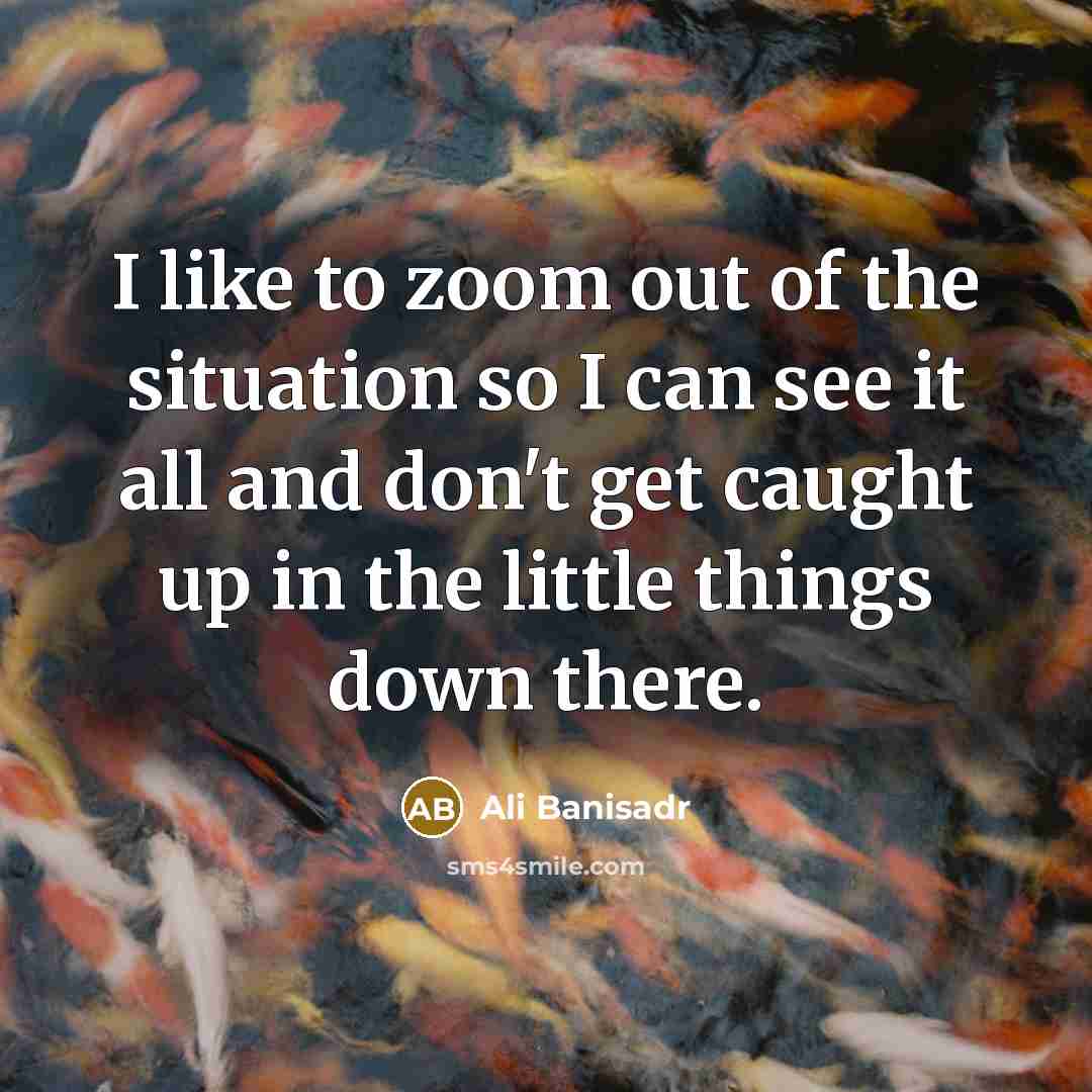 “I like to zoom out of the situation so I…” quote by Ali Banisadr