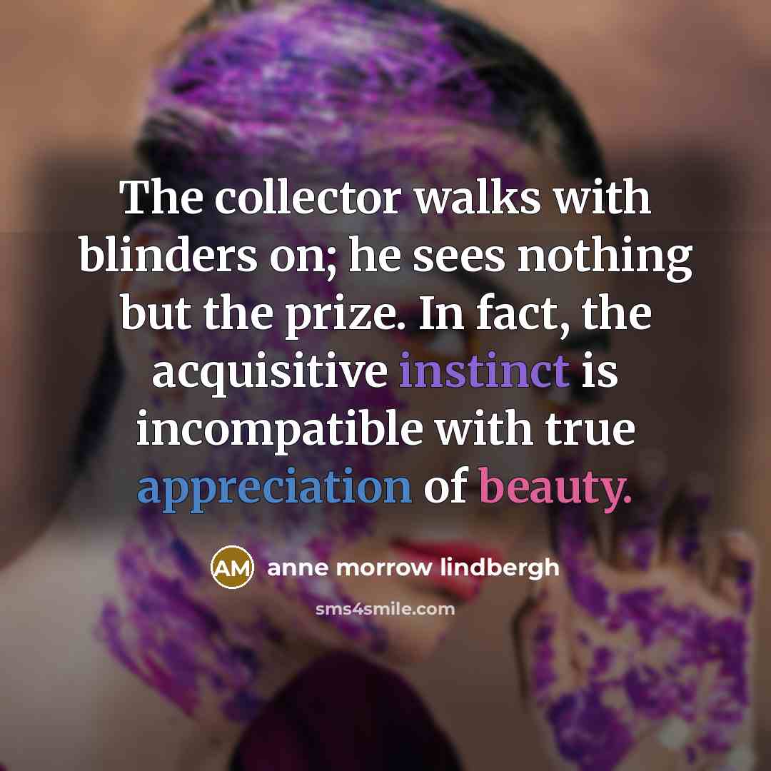 “The collector walks with blinders on; he sees nothing but…” quote by Anne Morrow Lindbergh
