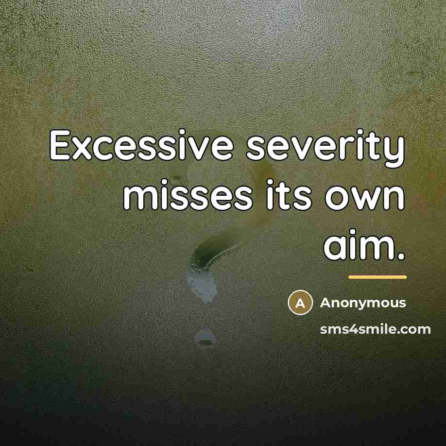 “Excessive severity misses its own aim.…” quote by Anonymous