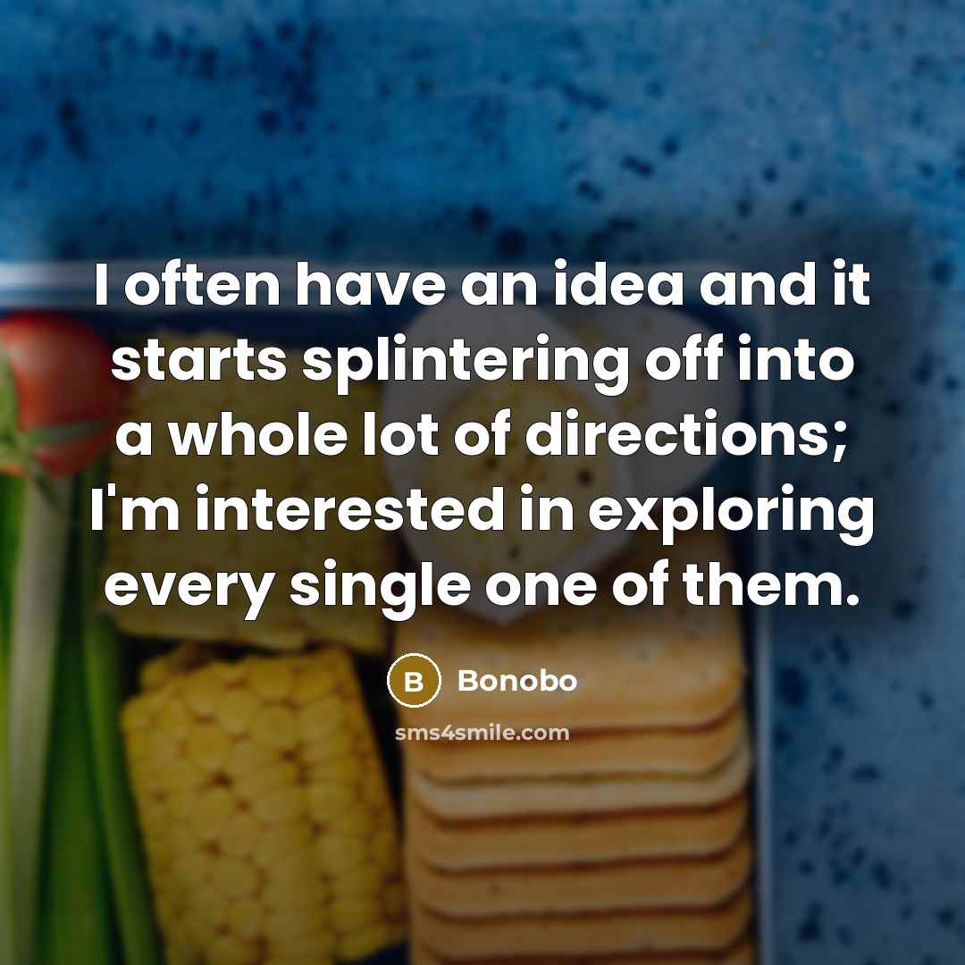 “I often have an idea and it starts splintering off…” quote by Bonobo