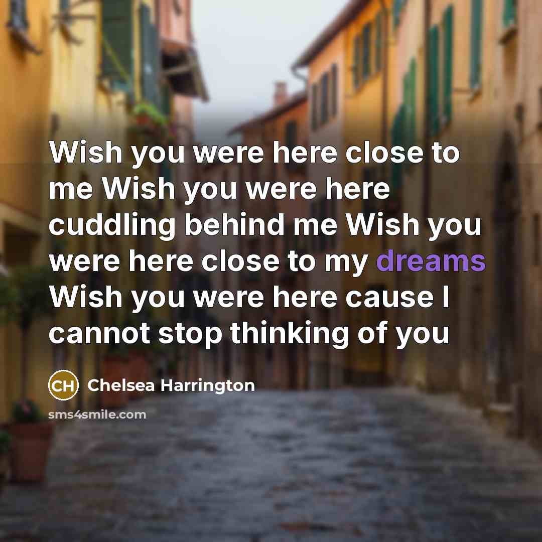 “Wish you were here close to me Wish you were here cuddling behind me Wish you were here close to my dreams Wish you were here cause I cannot stop thinking of you” quote by Chelsea Harrington