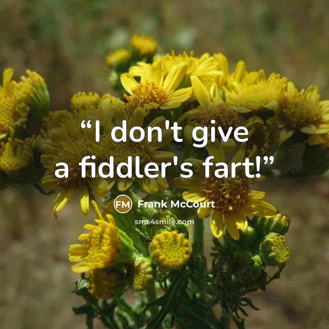 “I don't give a fiddler's fart!” quote by Frank McCourt