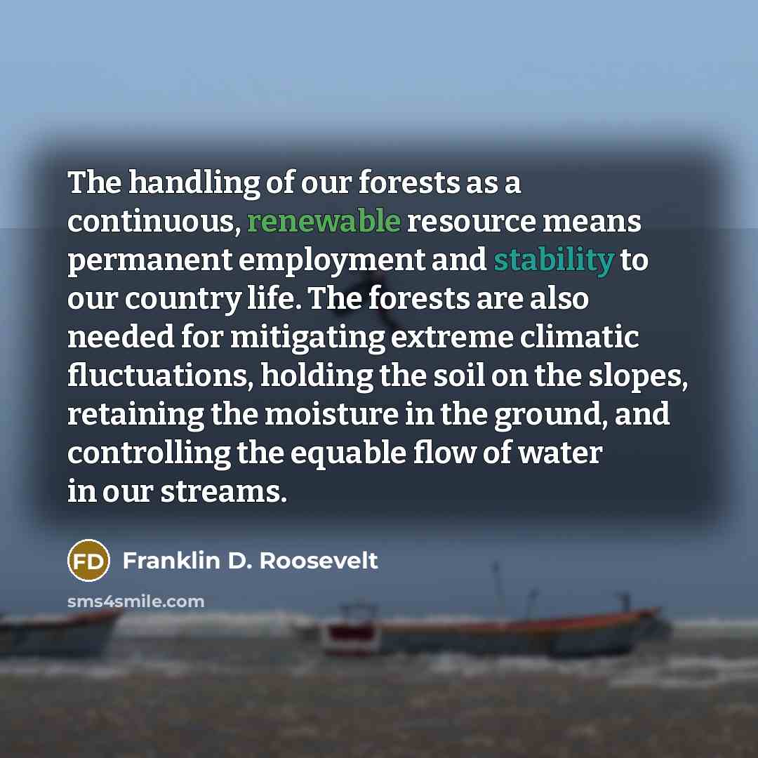 “The handling of our forests as a continuous, renewable resource…” quote by Franklin D. Roosevelt
