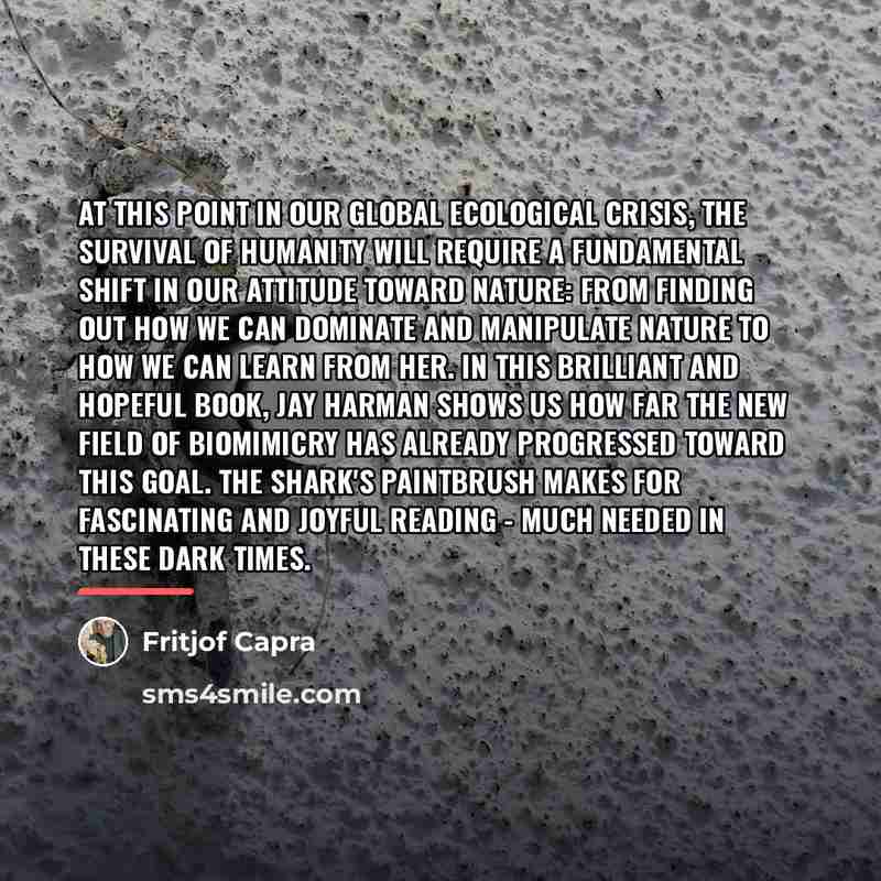 “At this point in our global ecological crisis, the survival…” quote by Fritjof Capra