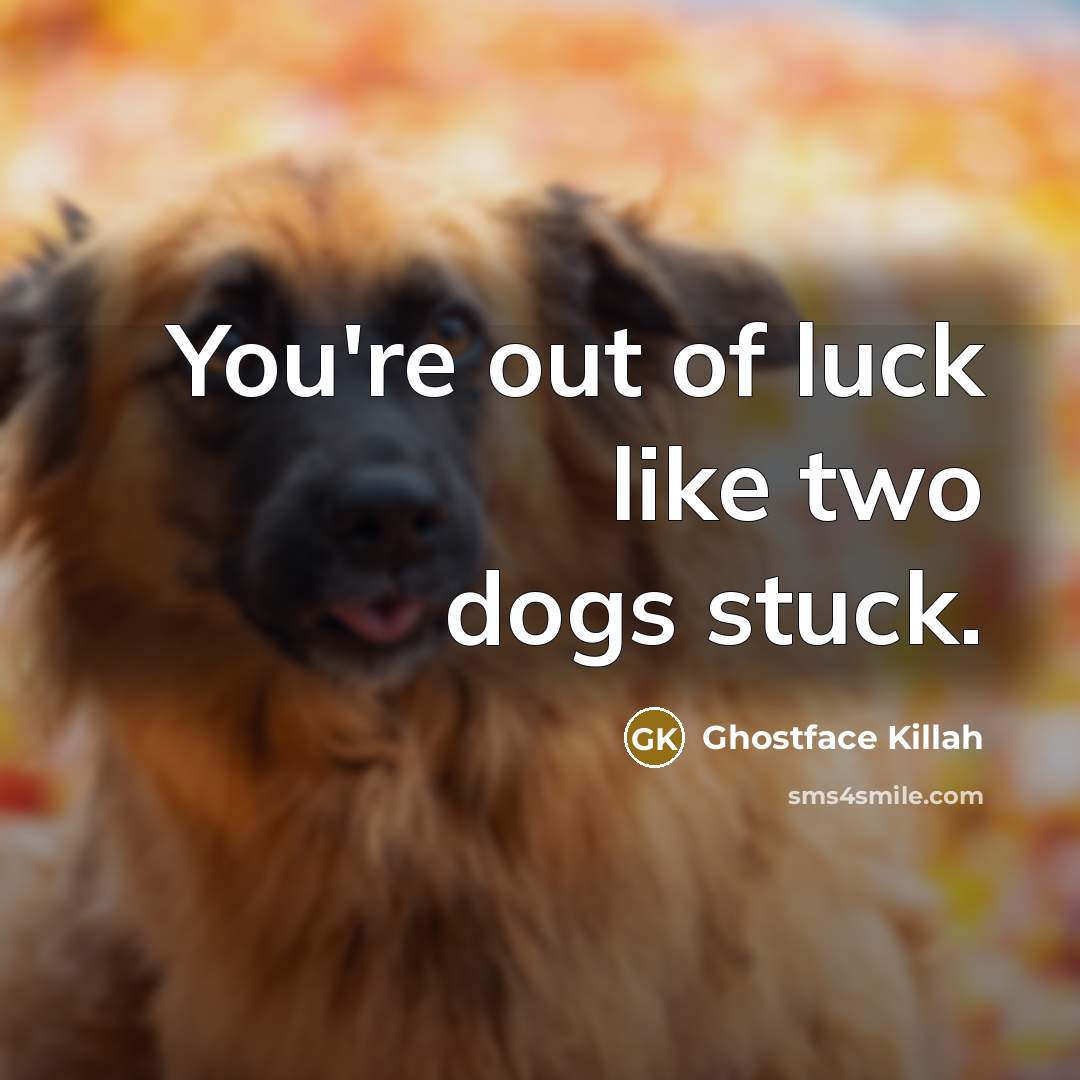 “You're out of luck like two dogs stuck.…” quote by Ghostface Killah