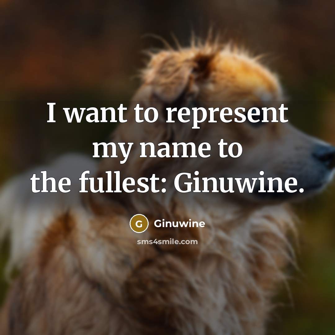“I want to represent my name to the fullest: Ginuwine.…” quote by Ginuwine
