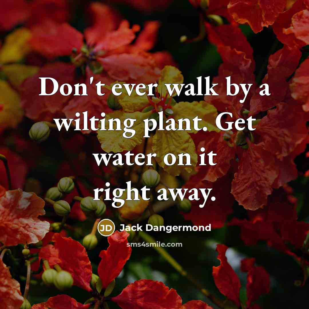 “Don't ever walk by a wilting plant. Get water on…” quote by Jack Dangermond