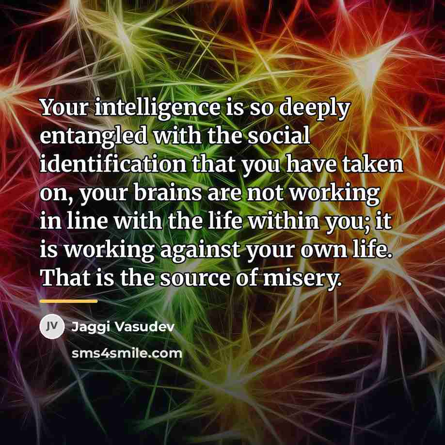 “Your intelligence is so deeply entangled with the social identification…” quote by Jaggi Vasudev