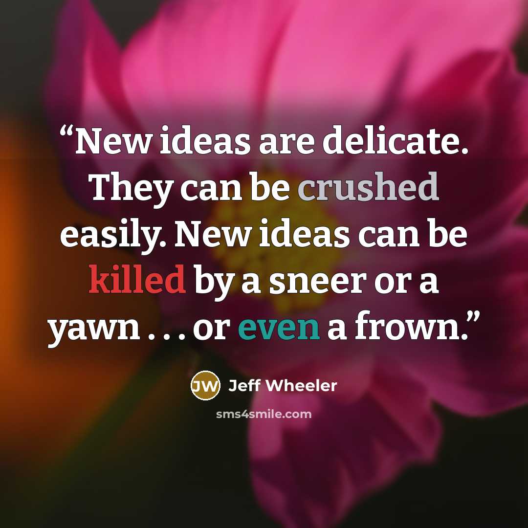 “New ideas are delicate. They can be crushed easily. New ideas can be killed by a sneer or a yawn . . . or even a frown.” quote by Jeff Wheeler