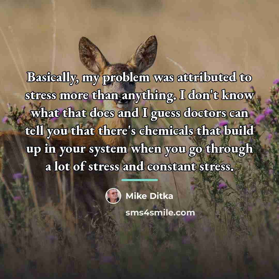“Basically, my problem was attributed to stress more than anything.…” quote by Mike Ditka