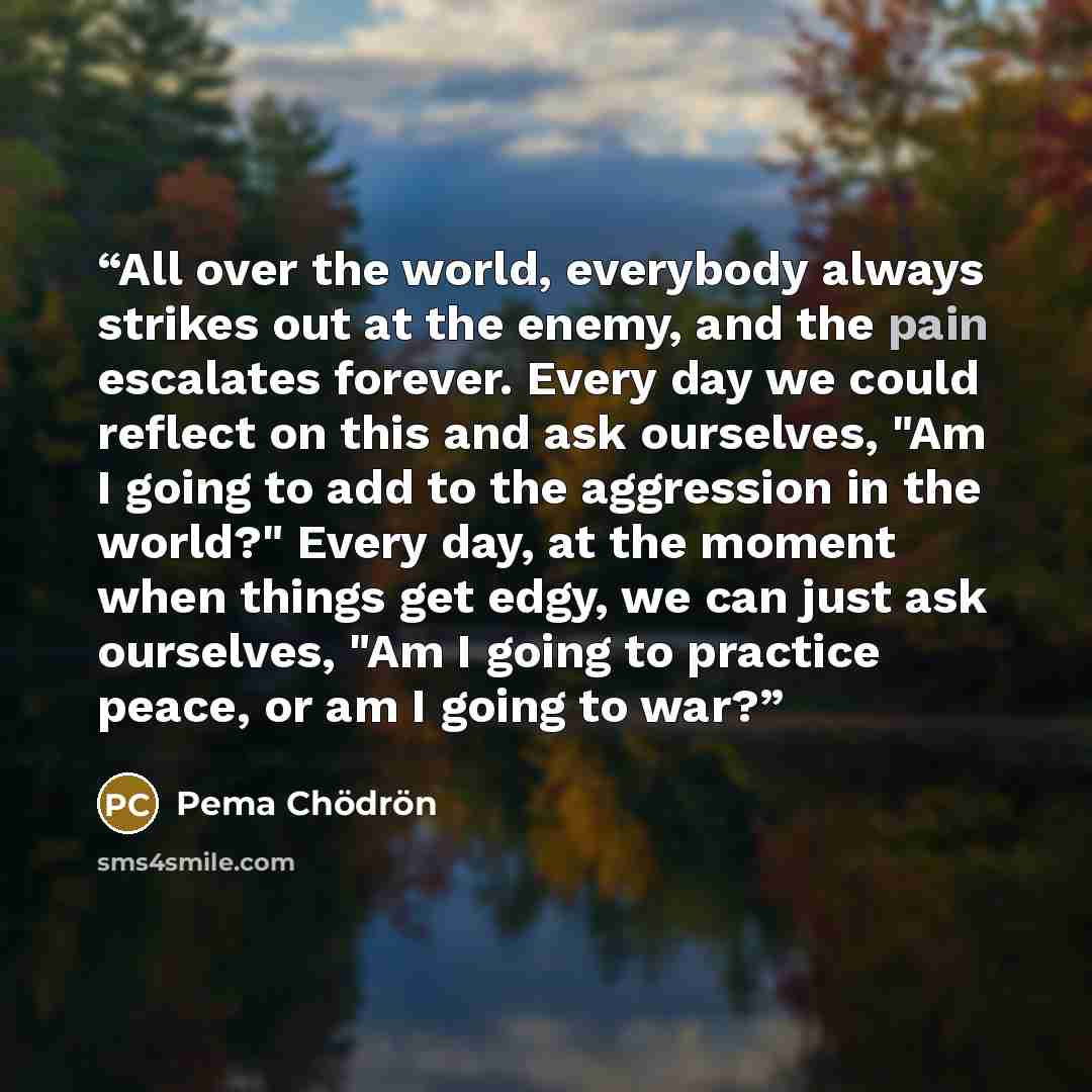 “All over the world, everybody always strikes out at the enemy, and the pain escalates forever. Every day we could reflect on this and ask ourselves, "Am I going to add to the aggression in the world?" Every day, at the moment when things get edgy, we can just ask ourselves, "Am I going to practice…” quote by Pema Chödrön