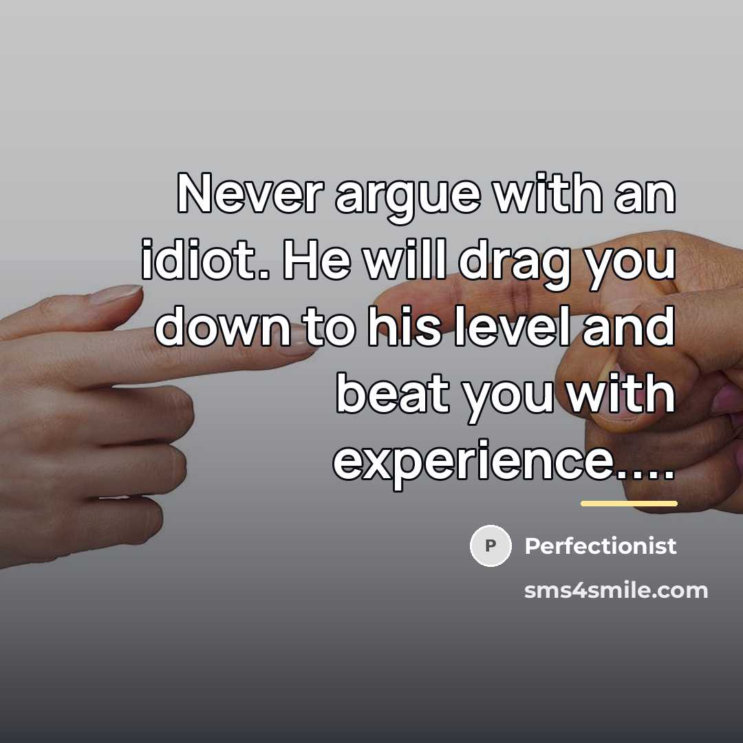 “Never argue with an idiot. He will drag you down…” quote by Perfectionist