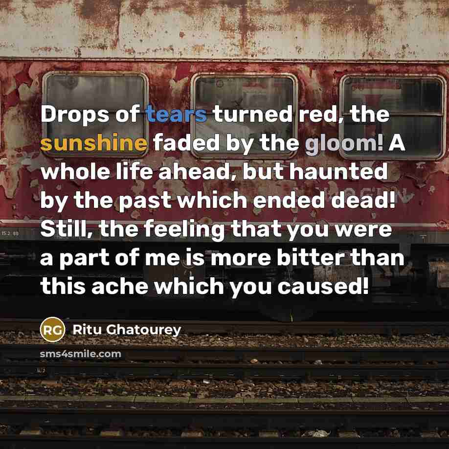 “Drops of tears turned red, the sunshine faded by the…” quote by Ritu Ghatourey