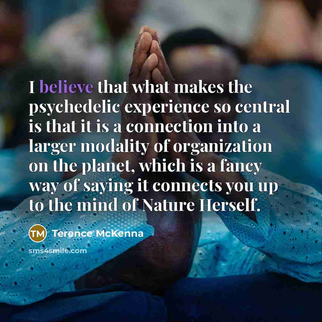 “I believe that what makes the psychedelic experience so central…” quote by Terence McKenna