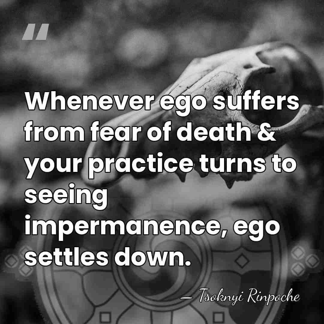 Whenever ego suffers from fear of death & your practice turns to&hellip; - Tsoknyi Rinpoche