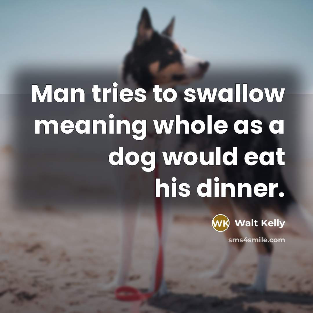 “Man tries to swallow meaning whole as a dog would…” quote by Walt Kelly