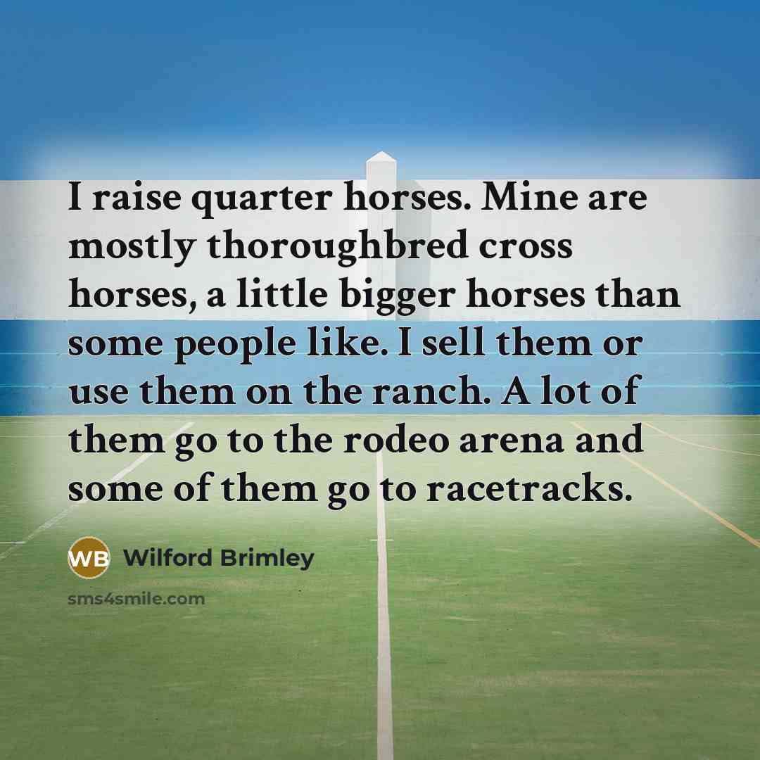 “I raise quarter horses. Mine are mostly thoroughbred cross horses,…” quote by Wilford Brimley
