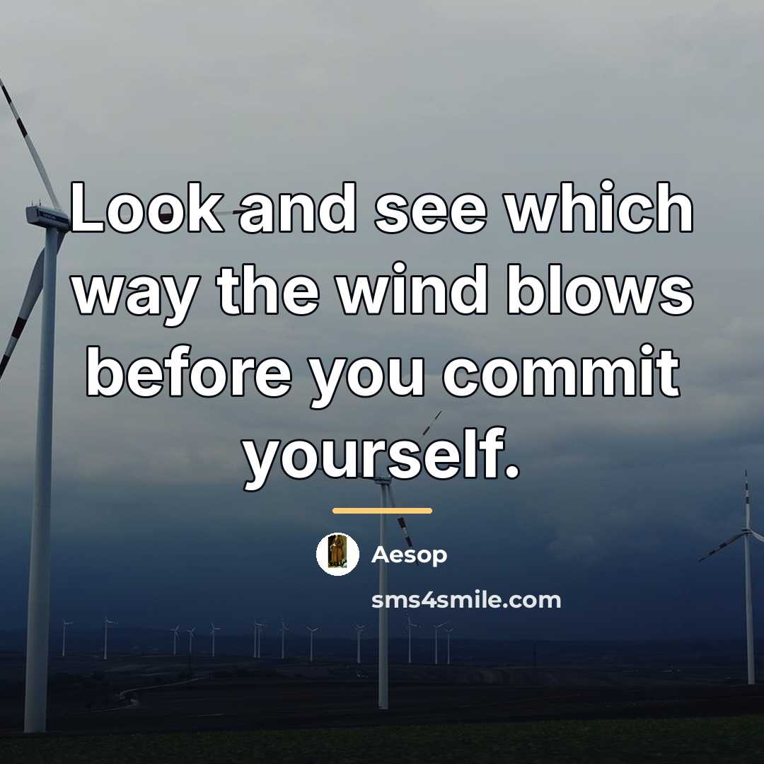“Look and see which way the wind blows before you…” quote by Aesop