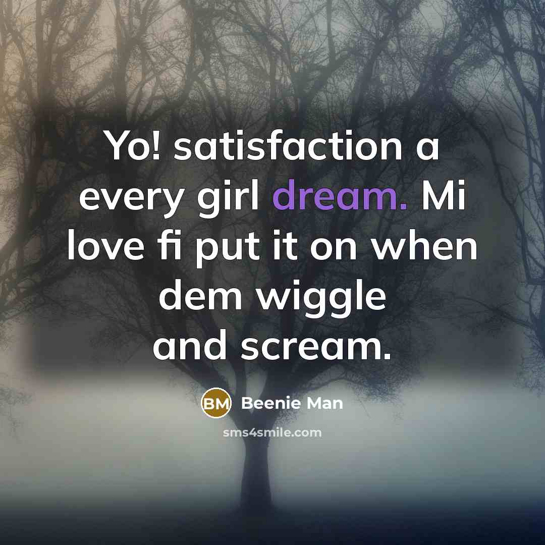 “Yo! satisfaction a every girl dream. Mi love fi put…” quote by Beenie Man