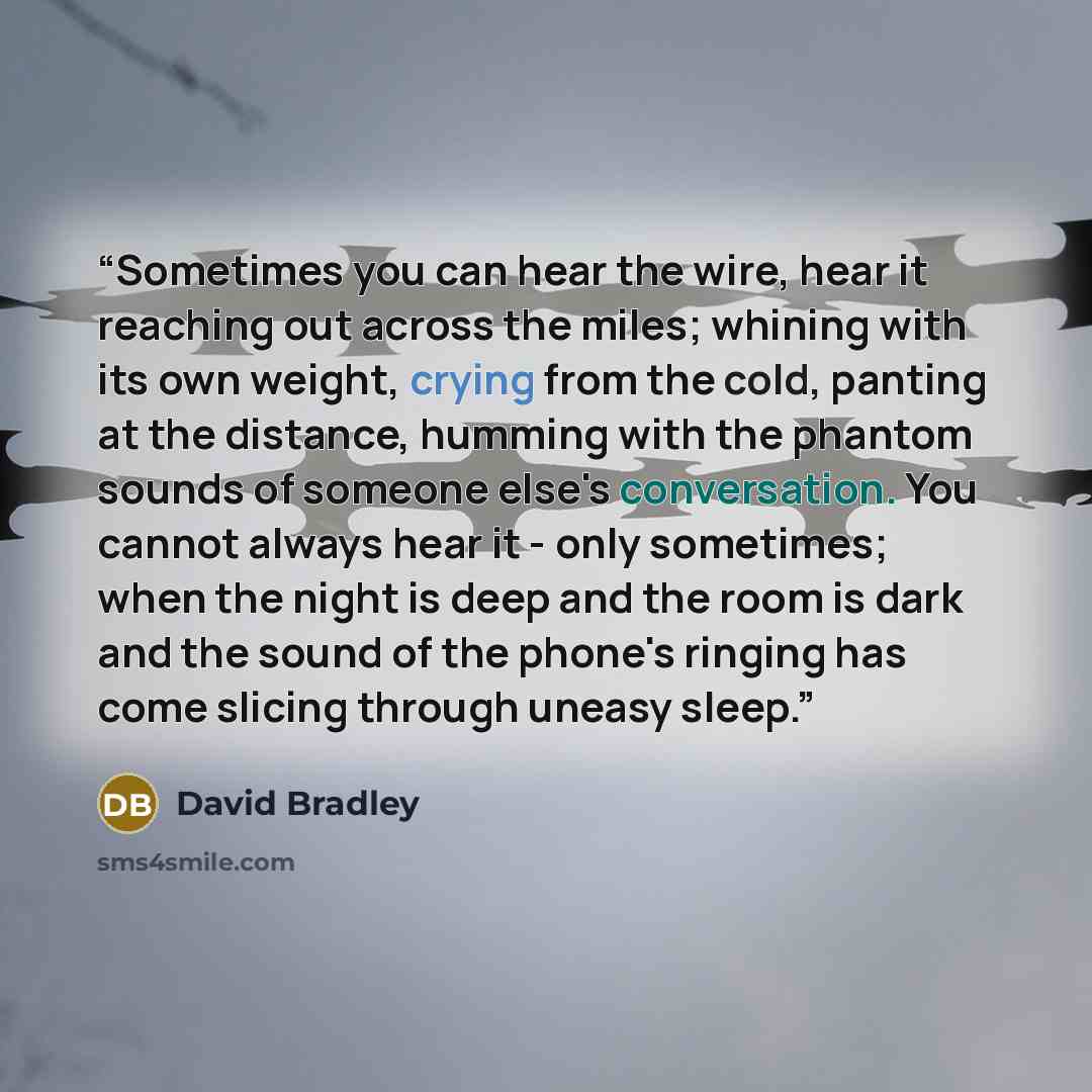 “Sometimes you can hear the wire, hear it reaching out across the miles; whining with its own weight, crying from the cold, panting at the distance, humming with the phantom sounds of someone else's conversation. You cannot always hear it - only sometimes; when the night is deep and the room is…” quote by David Bradley