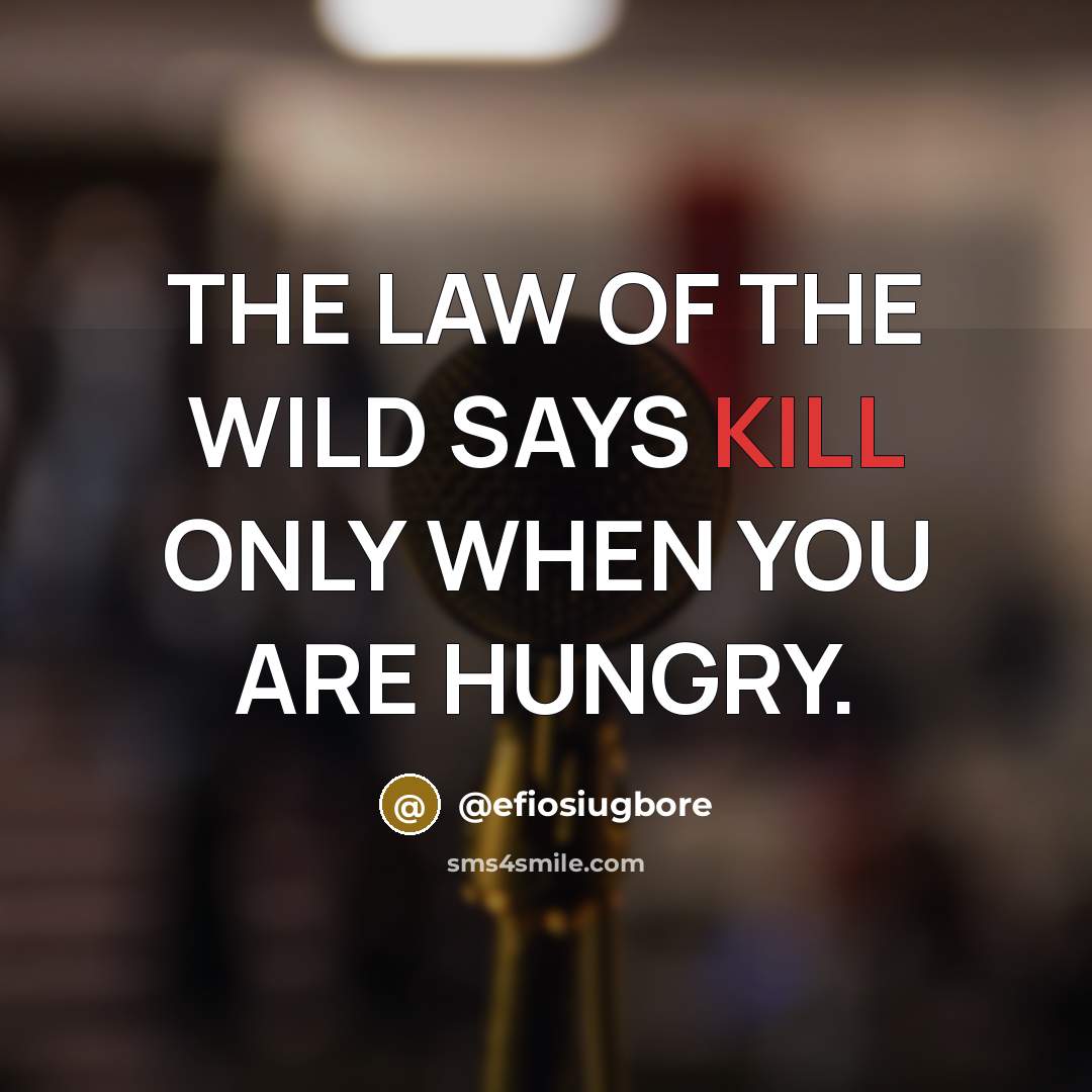 “THE LAW OF THE WILD SAYS KILL ONLY WHEN YOU…” quote by @efiosiugbore