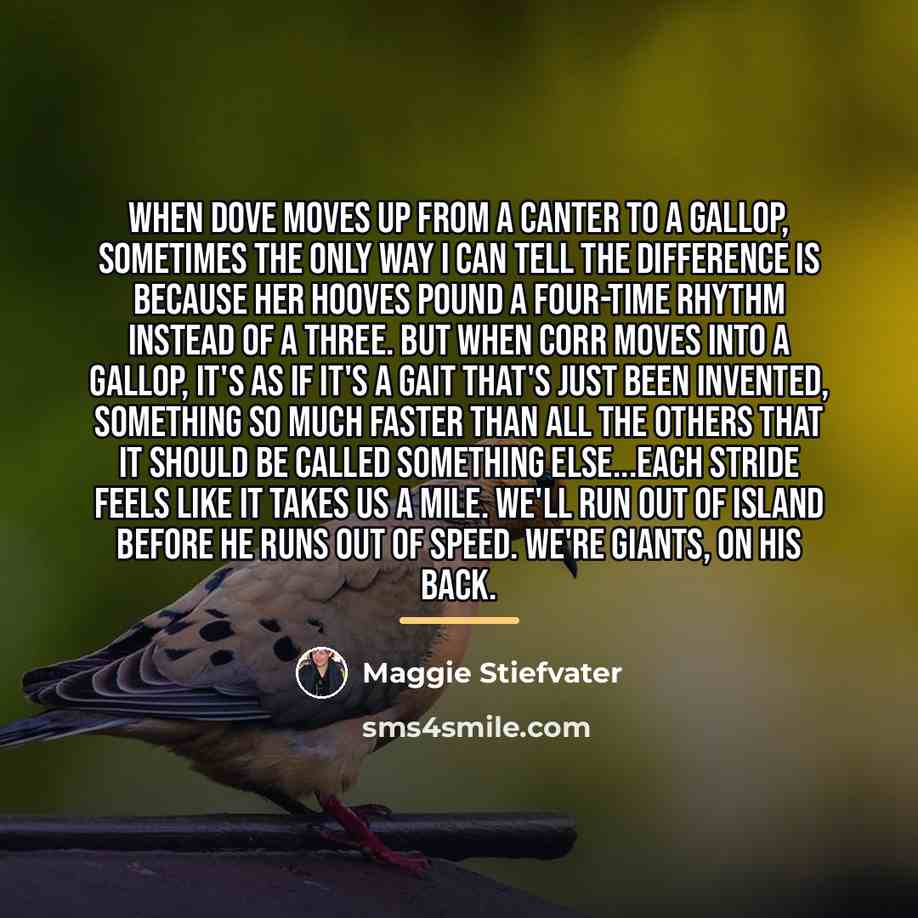 “When Dove moves up from a canter to a gallop,…” quote by Maggie Stiefvater