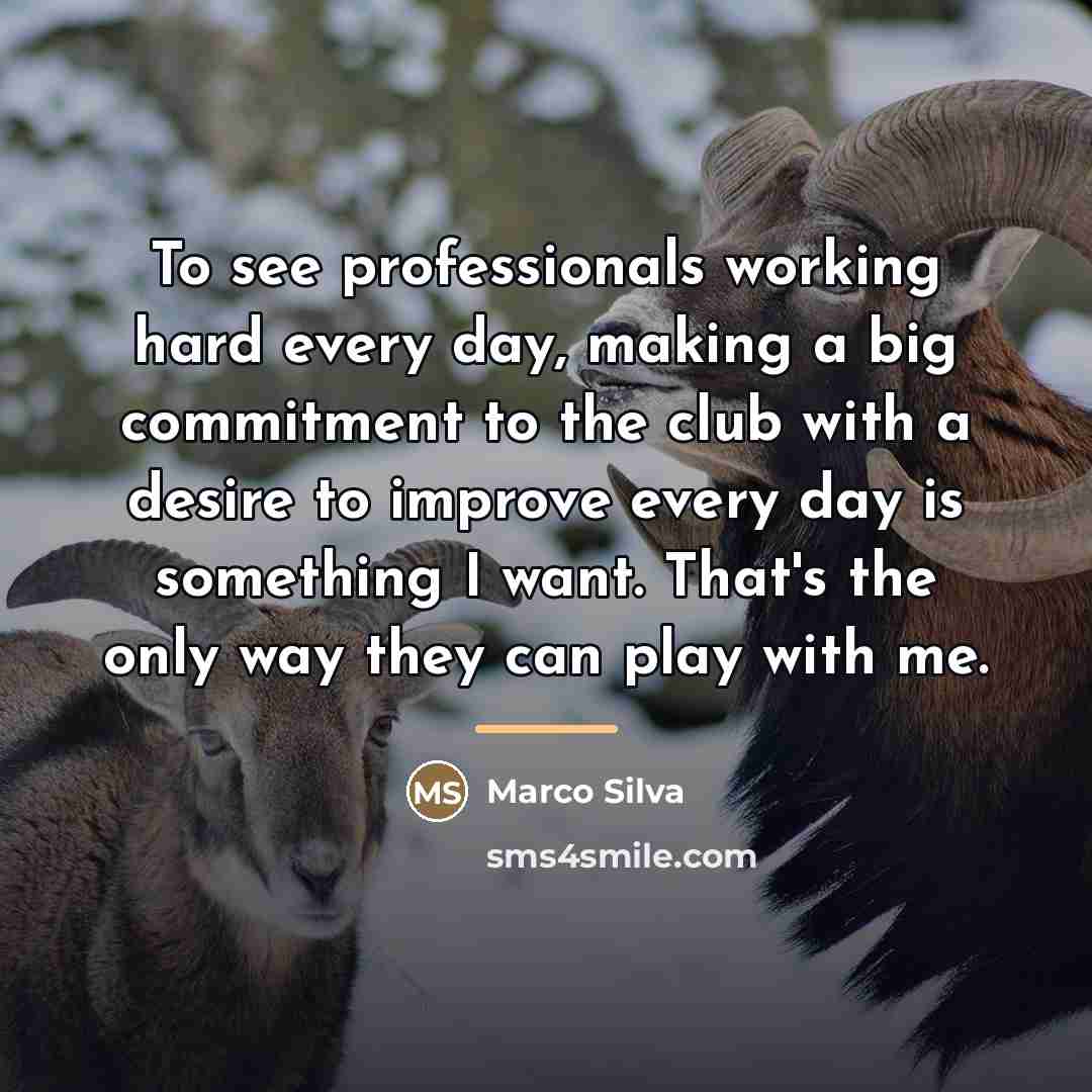 “To see professionals working hard every day, making a big…” quote by Marco Silva