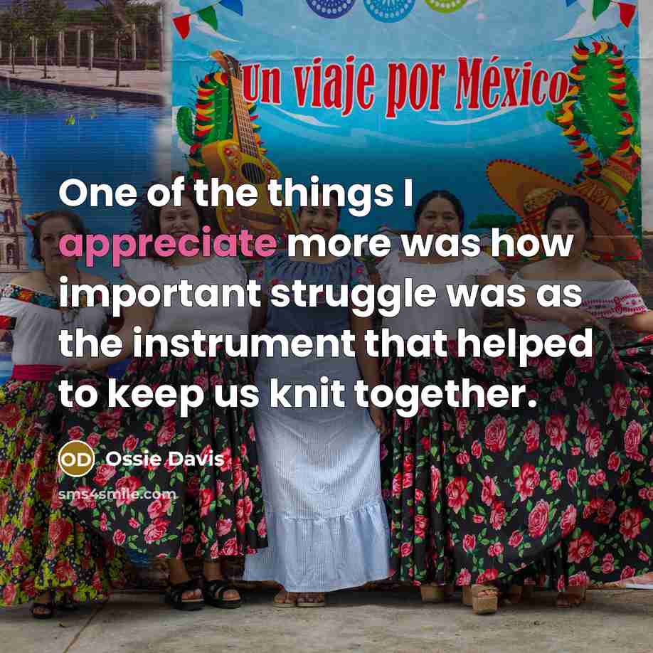 “One of the things I appreciate more was how important…” quote by Ossie Davis
