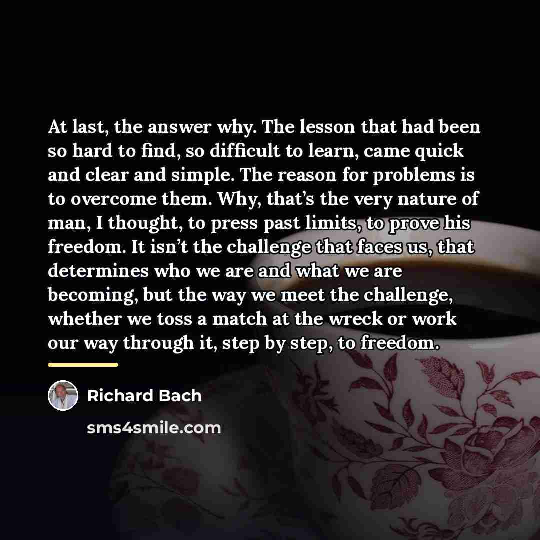 “At last, the answer why. The lesson that had been…” quote by Richard Bach
