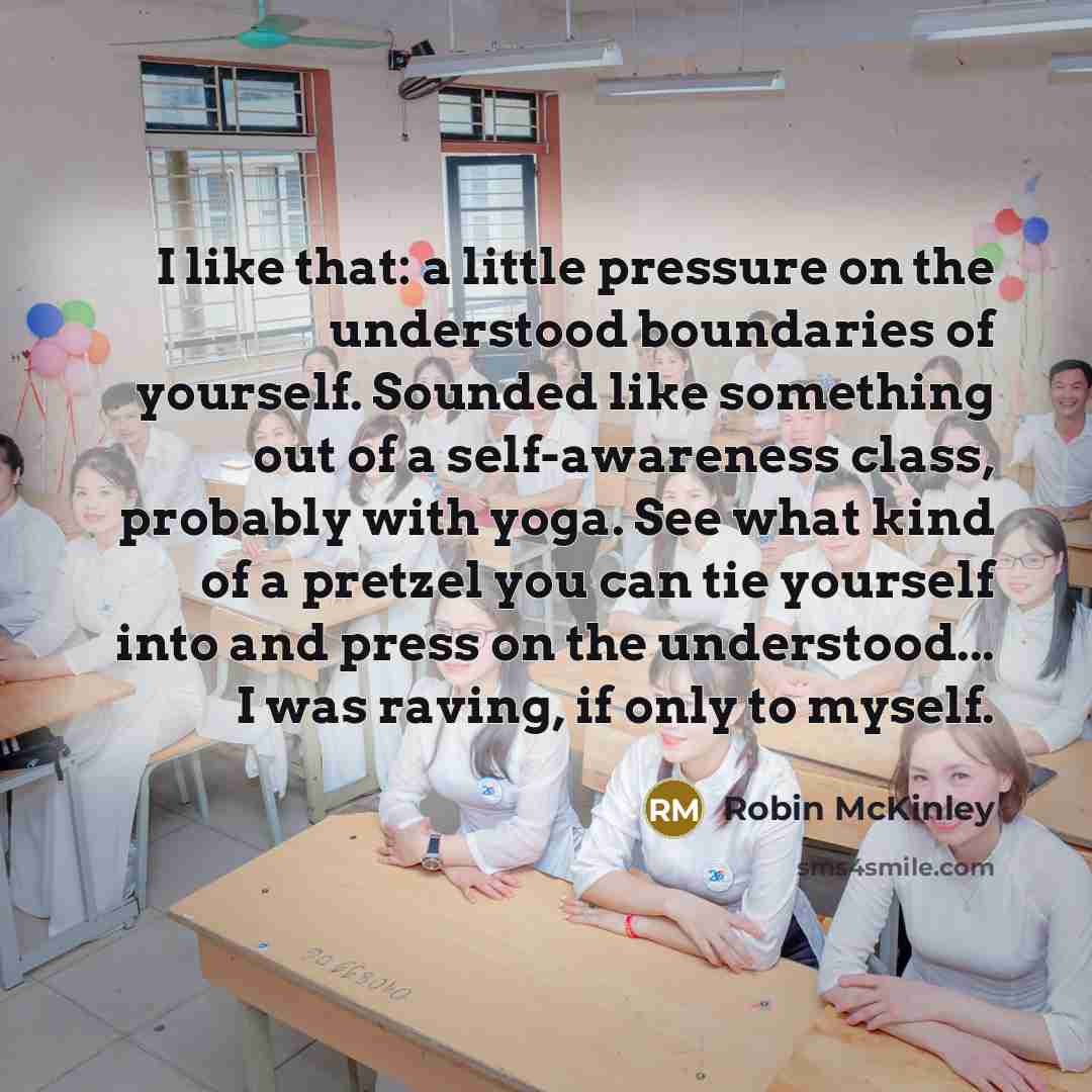 “I like that: a little pressure on the understood boundaries…” quote by Robin McKinley