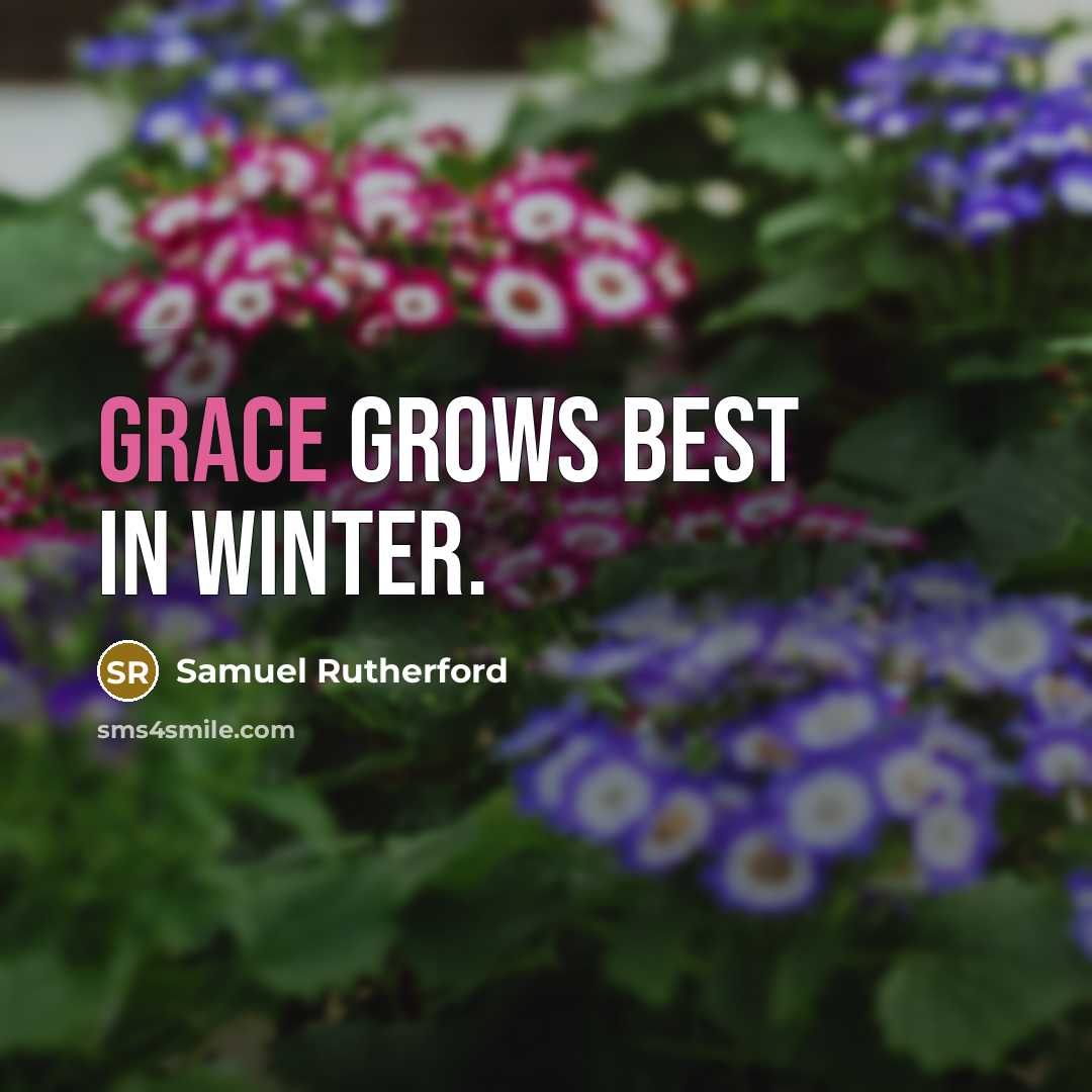 “Grace grows best in winter.…” quote by Samuel Rutherford