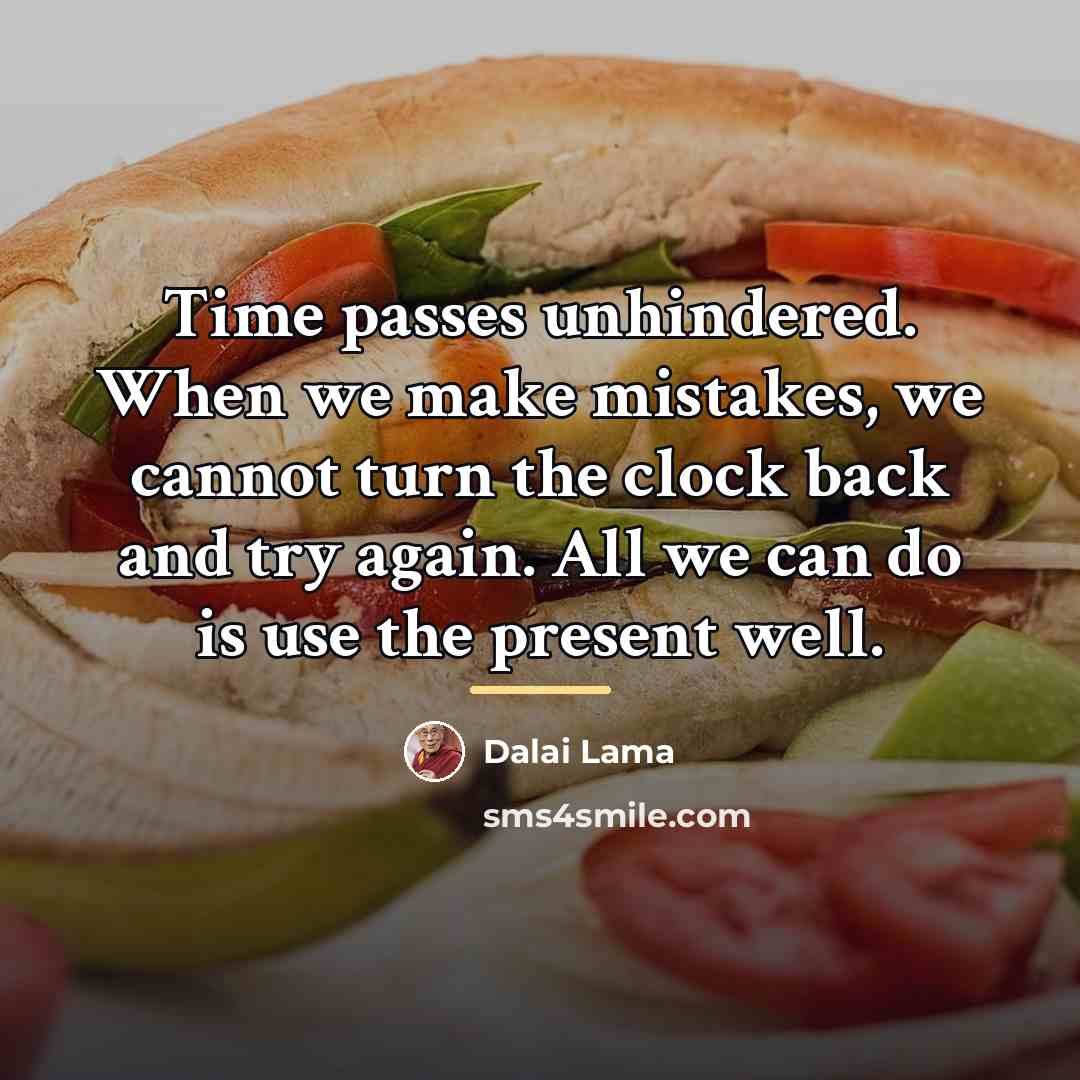“Time passes unhindered. When we make mistakes, we cannot turn…” quote by Dalai Lama