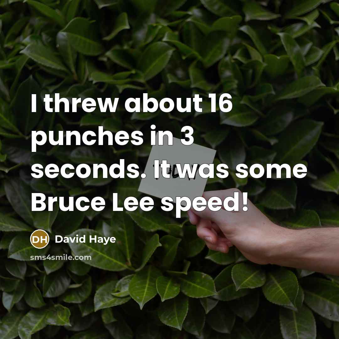 “I threw about 16 punches in 3 seconds. It was some Bruce Lee speed!” quote by David Haye