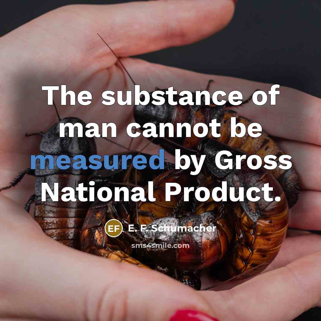 “The substance of man cannot be measured by Gross National…” quote by E. F. Schumacher