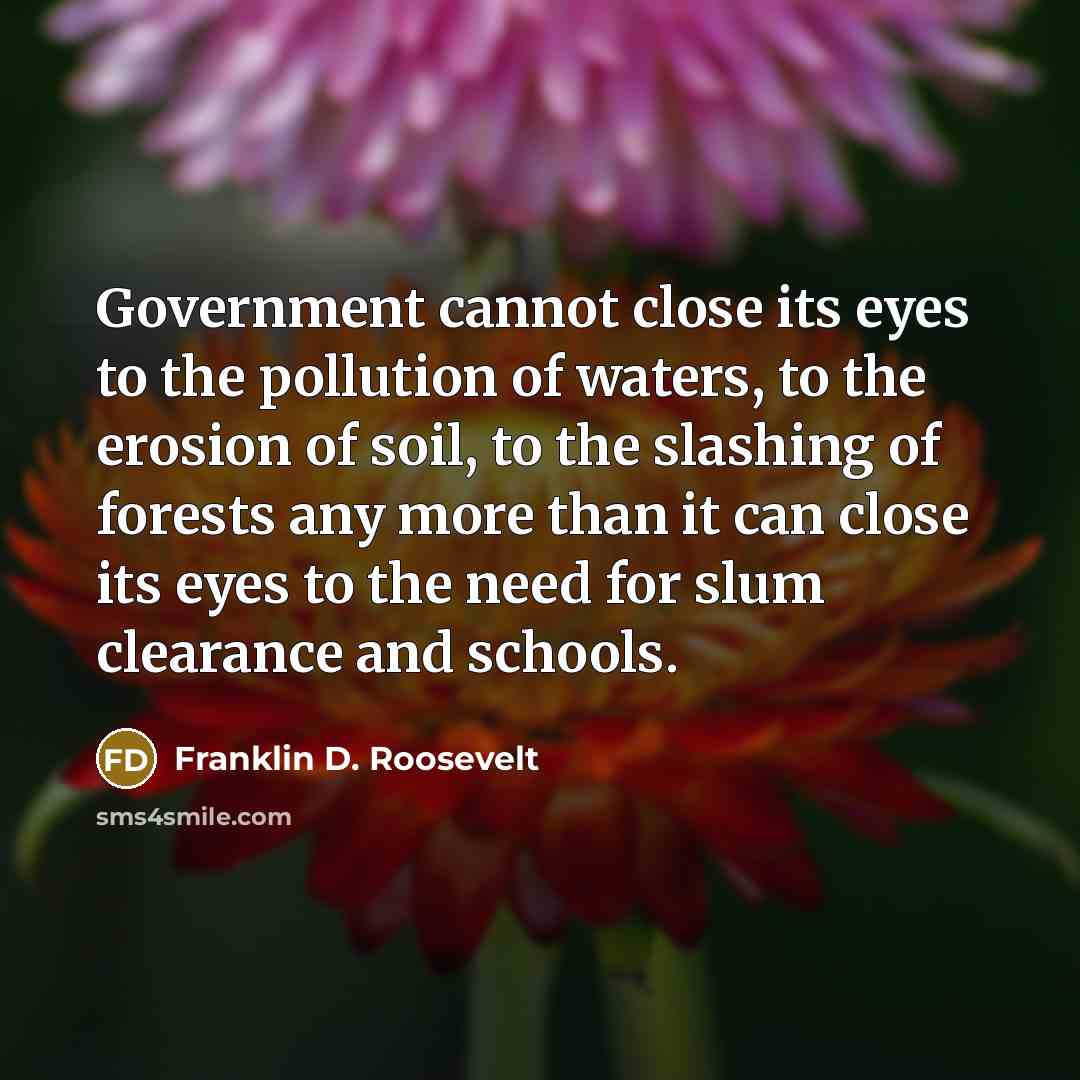 “Government cannot close its eyes to the pollution of waters,…” quote by Franklin D. Roosevelt