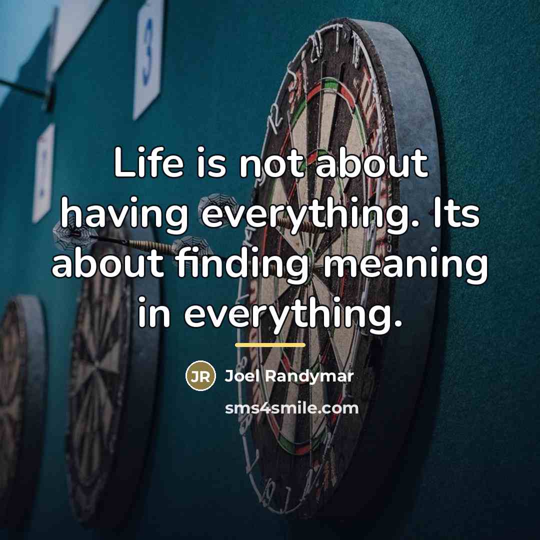 “Life is not about having everything. Its about finding meaning…” quote by Joel Randymar
