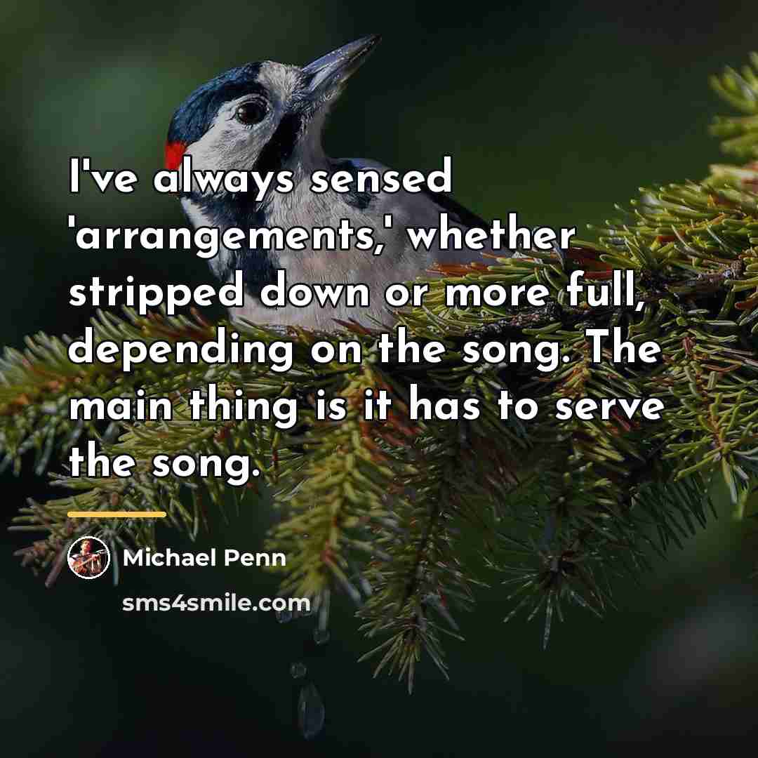 “I've always sensed 'arrangements,' whether stripped down or more full,…” quote by Michael Penn