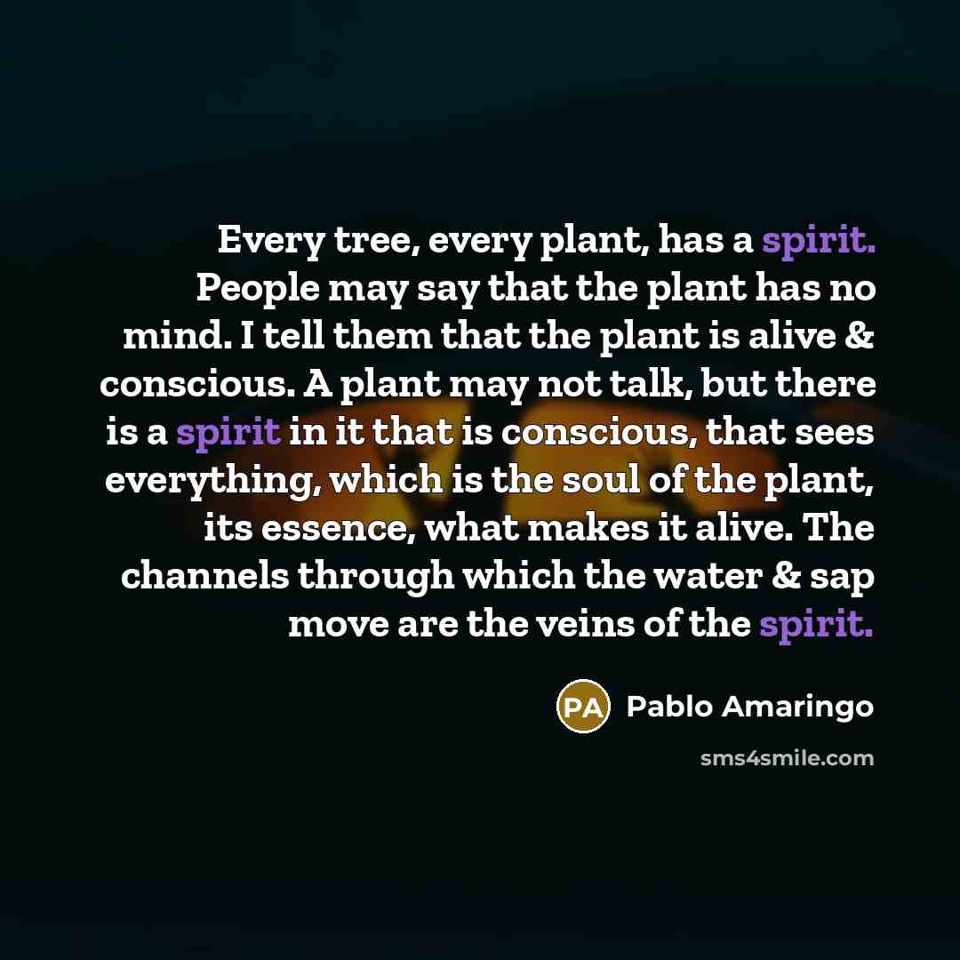 “Every tree, every plant, has a spirit. People may say…” quote by Pablo Amaringo