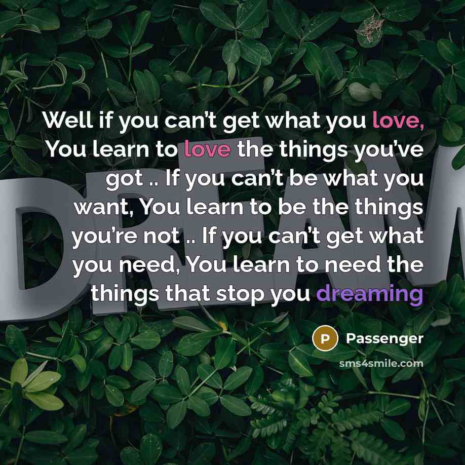 “Well if you can’t get what you love, You learn…” quote by Passenger