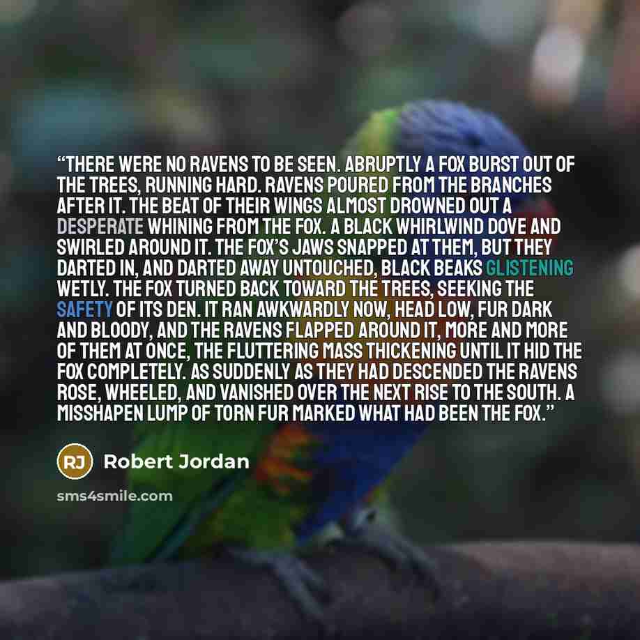 “There were no ravens to be seen. Abruptly a fox burst out of the trees, running hard. Ravens poured from the branches after it. The beat of their wings almost drowned out a desperate whining from the fox. A black whirlwind dove and swirled around it. The fox’s jaws snapped at them, but they darted…” quote by Robert Jordan