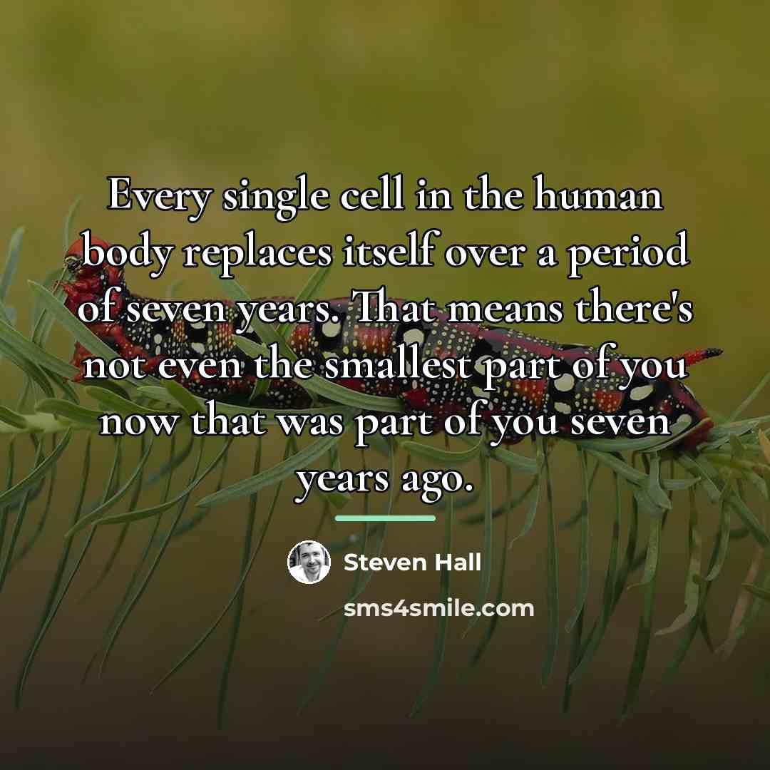 “Every single cell in the human body replaces itself over…” quote by Steven Hall