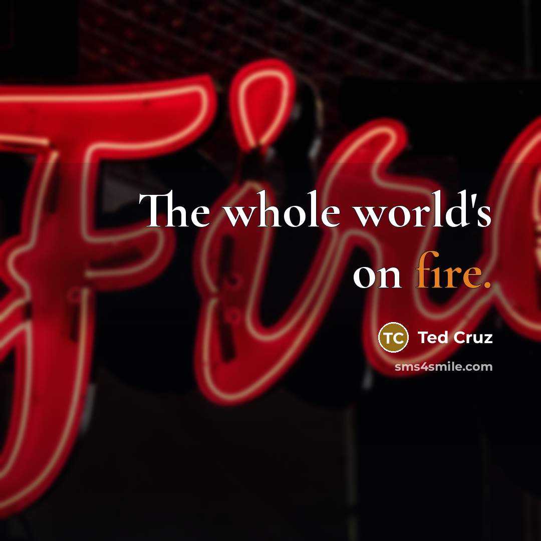 “The whole world`s on fire.…” quote by Ted Cruz